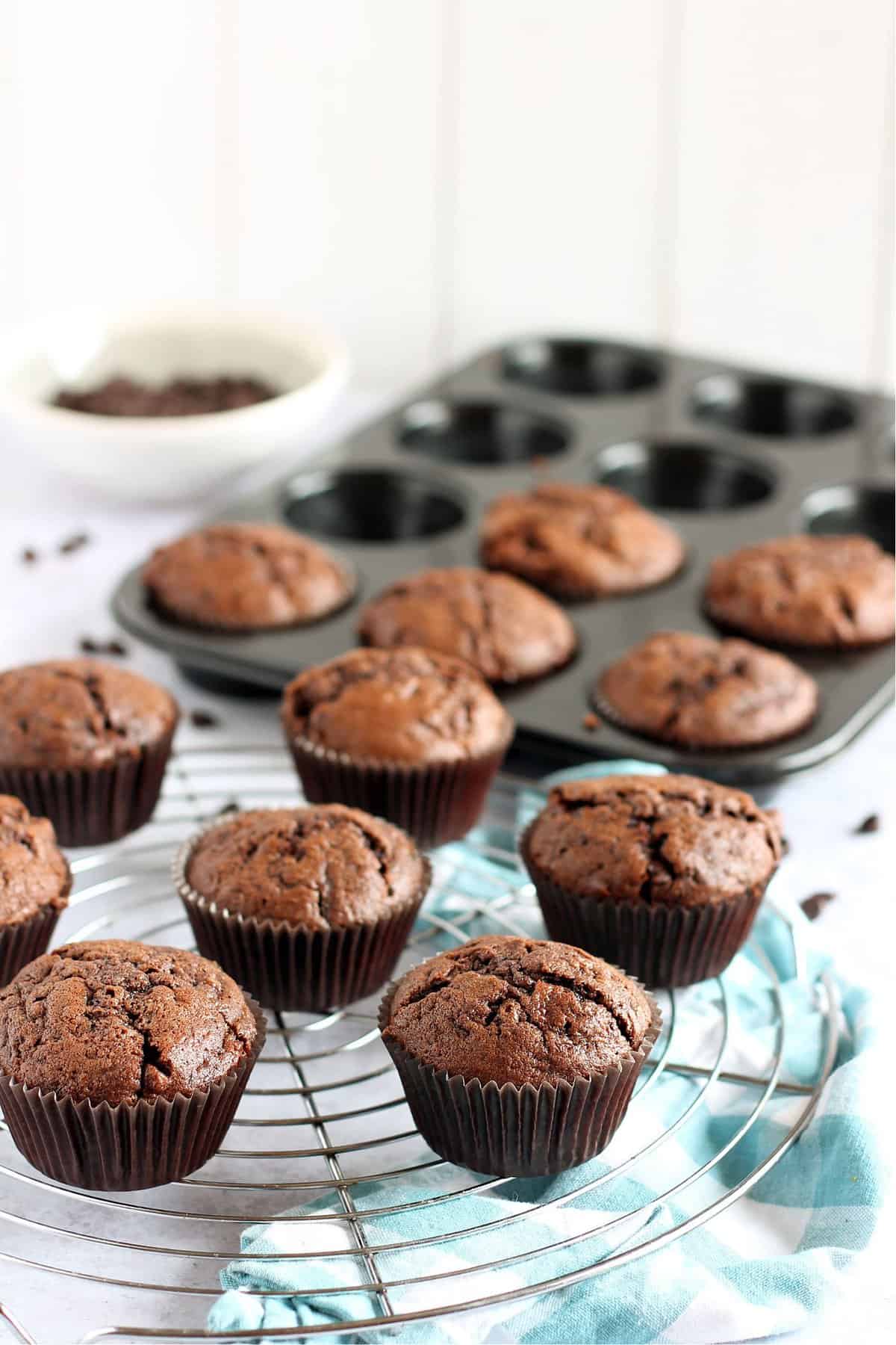 Chocolate courgette muffins on a cooling rack