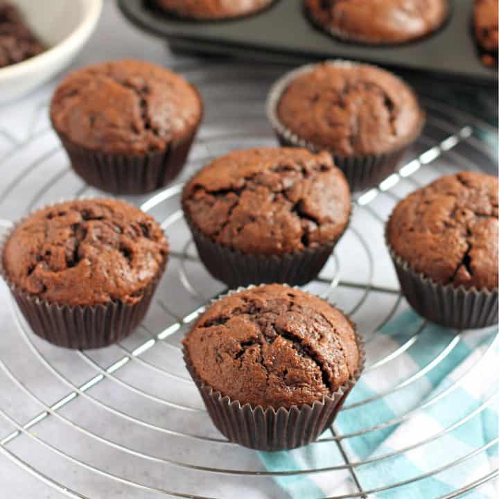 chocolate muffins with grated courgette on a cooling rack