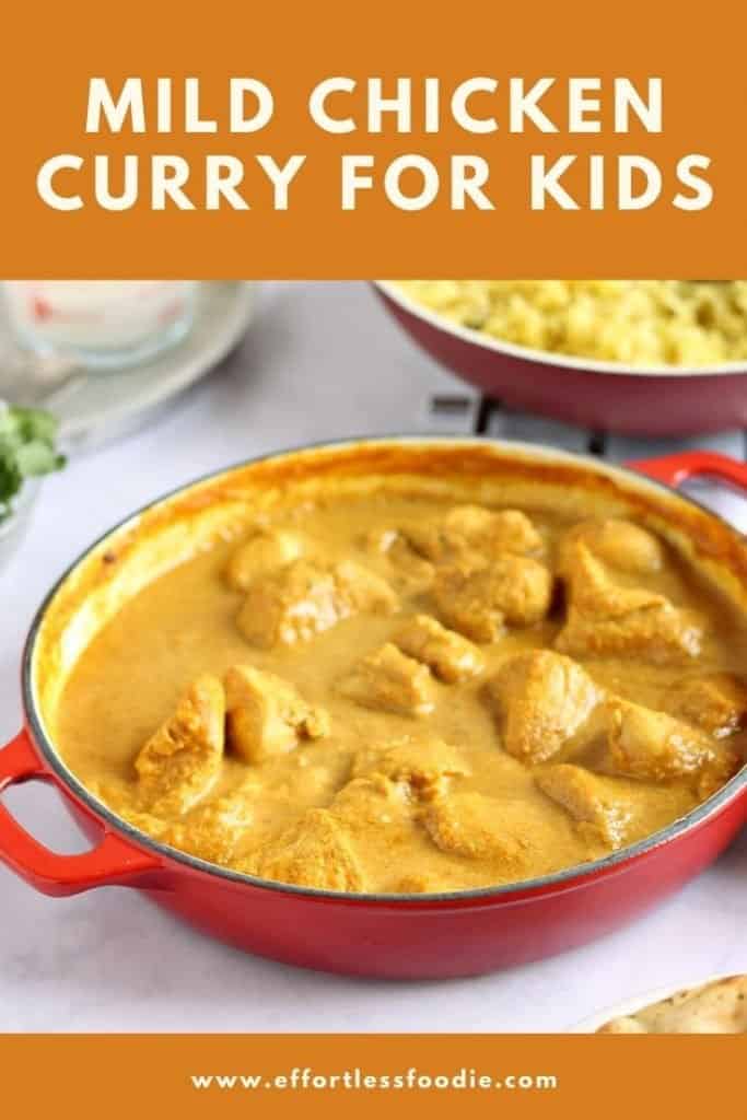 Mild Chicken Curry Recipe (Great For Kids!) - Effortless Foodie
