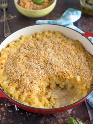 cheesy pasta with a breadcrumb topping.