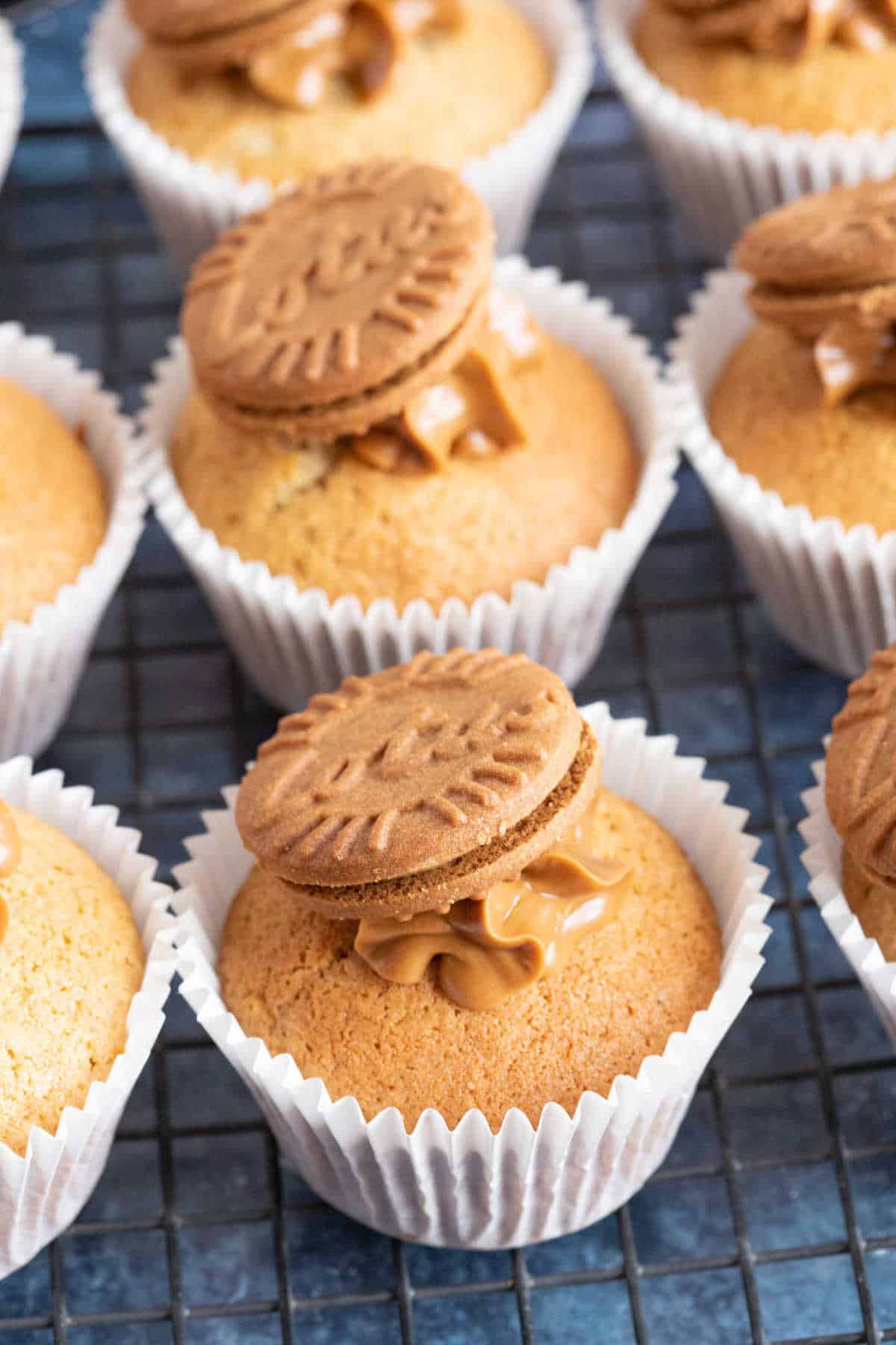 Biscoff muffins in white muffin cases.