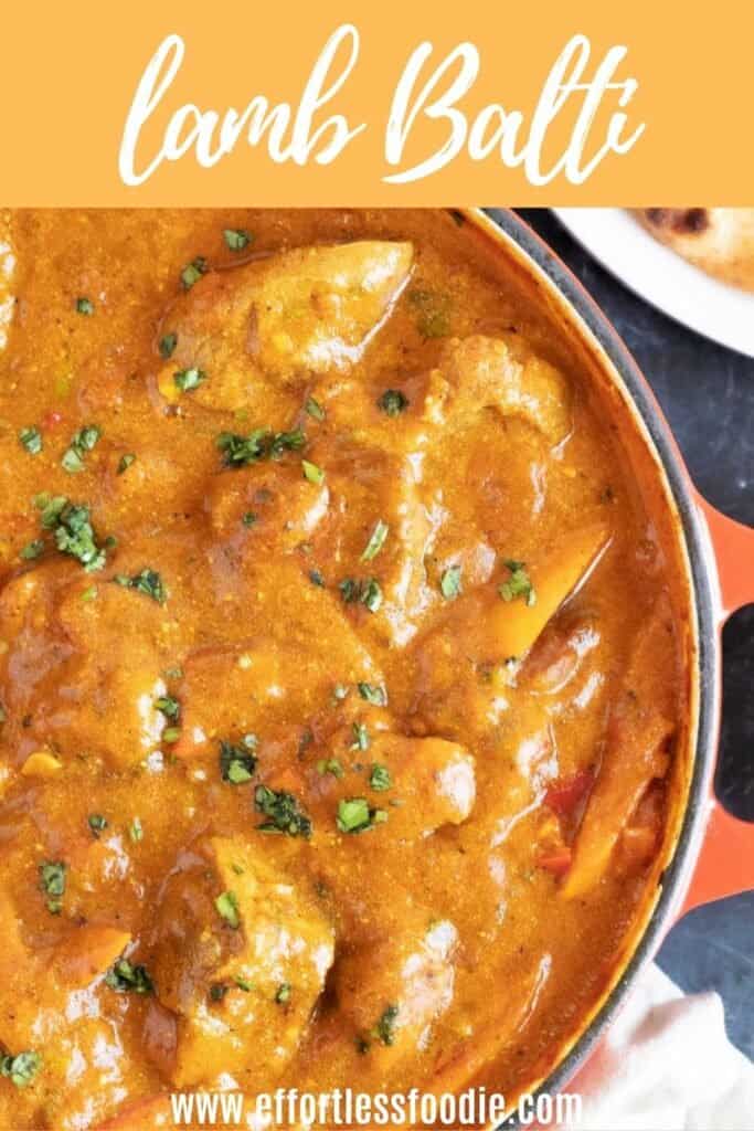 Lamb balti pin image.