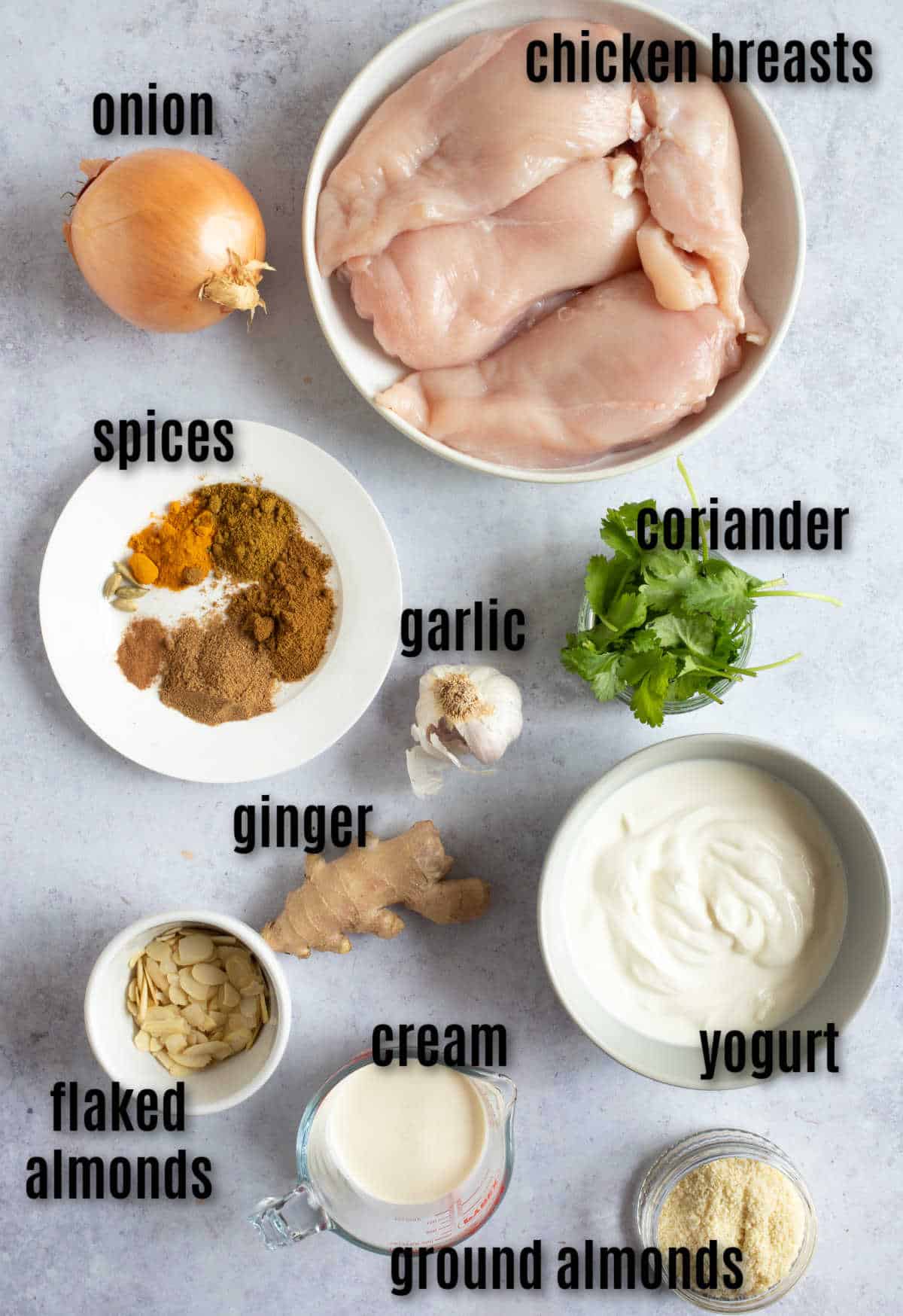 Ingredients for chicken pasanda recipe.