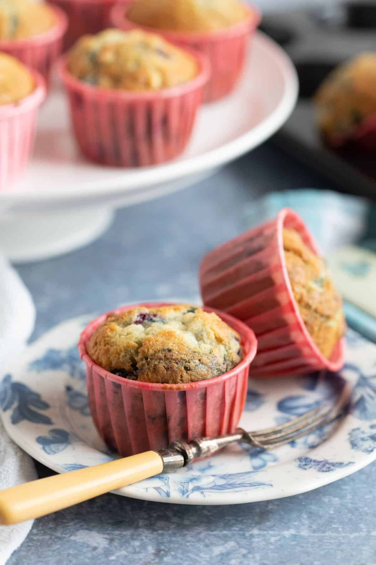 Muffin on a pretty blue and white plate.