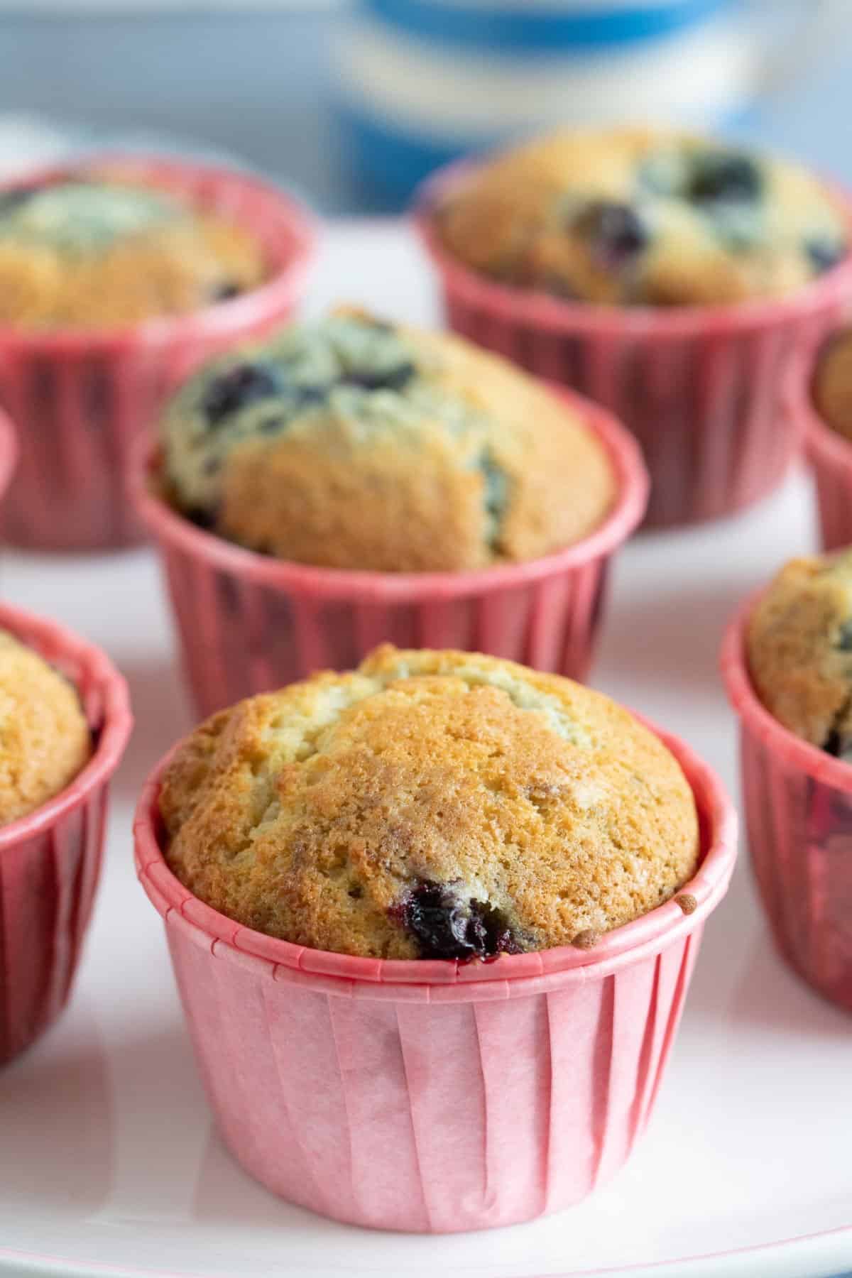 Close up of a blackcurrant muffin.