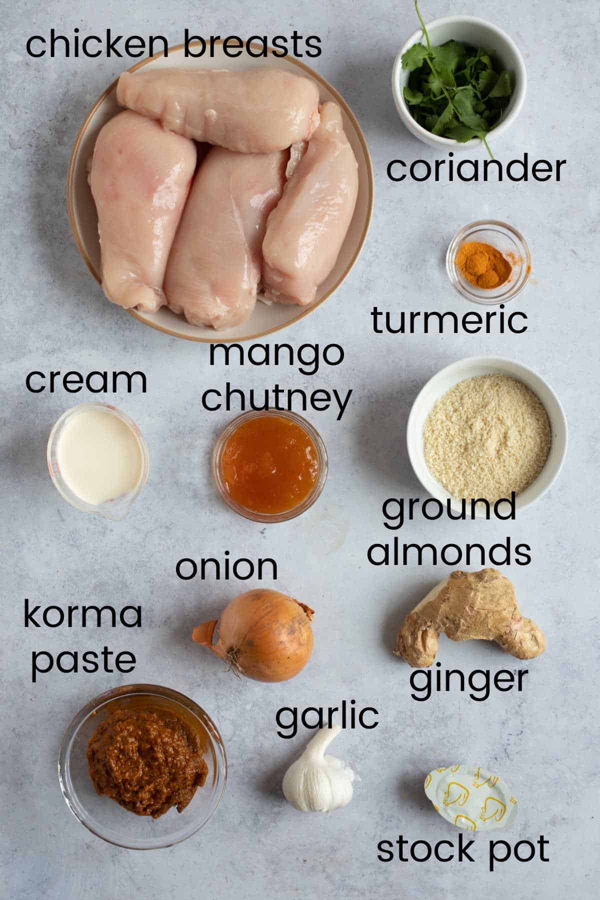 Ingredients for chicken korma.