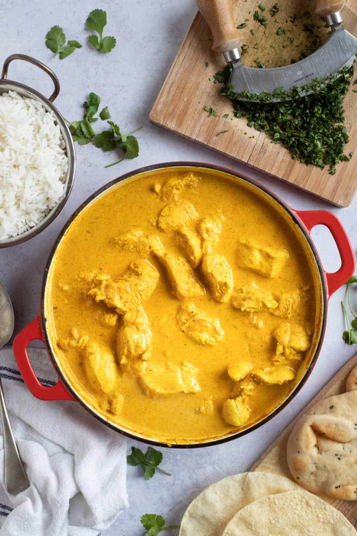 Chicken korma with rice.