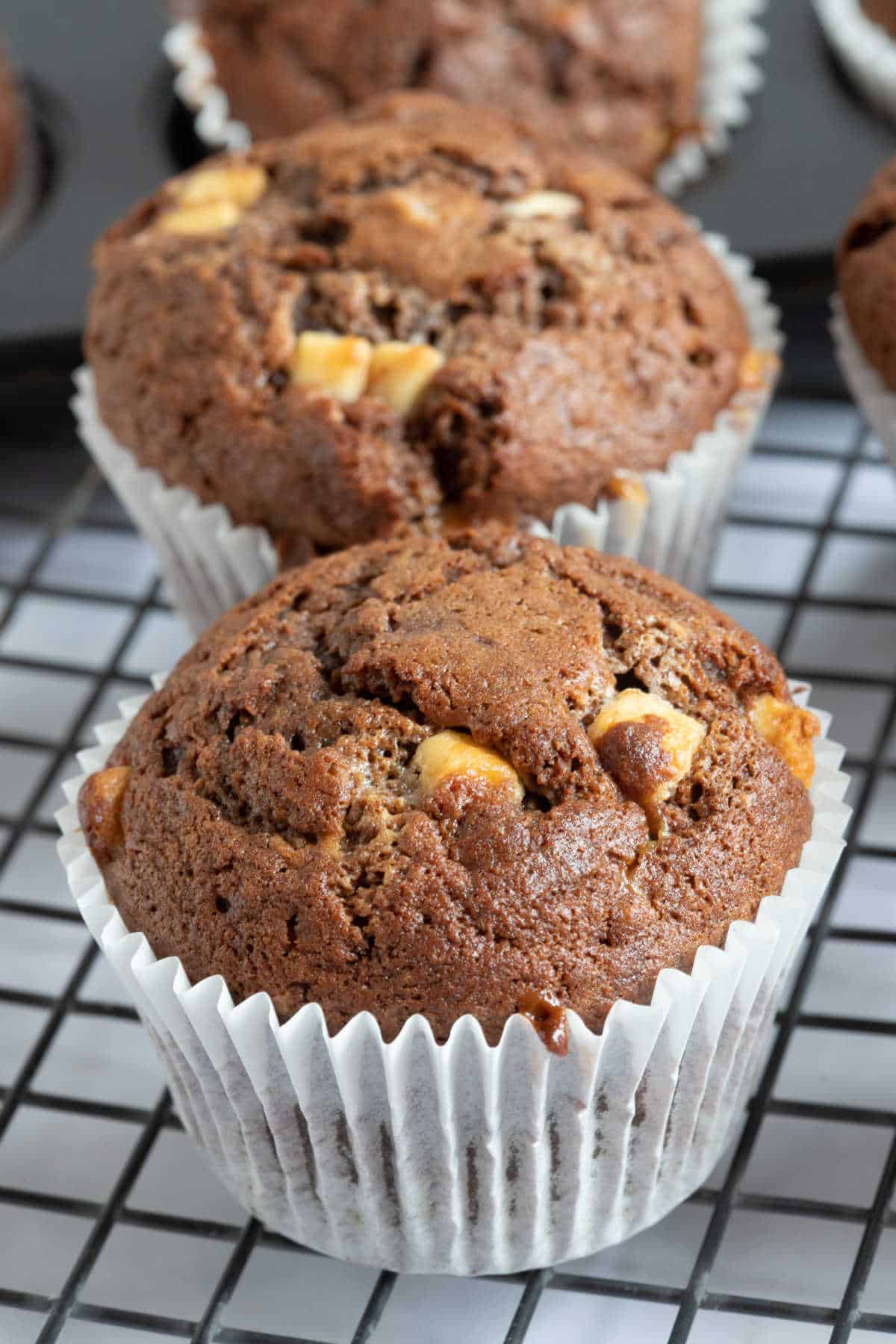A chocolate banana muffin with white chocolate chips.
