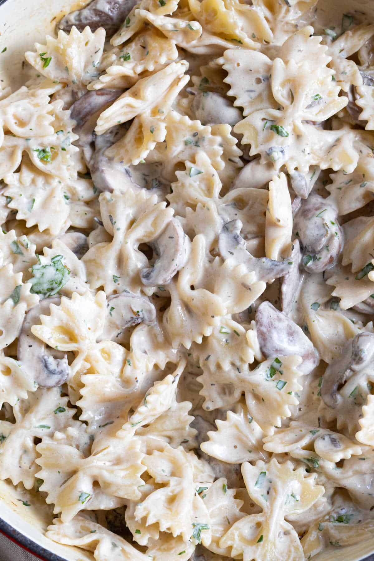 Creamy garlic mushroom pasta with chopped parsley.