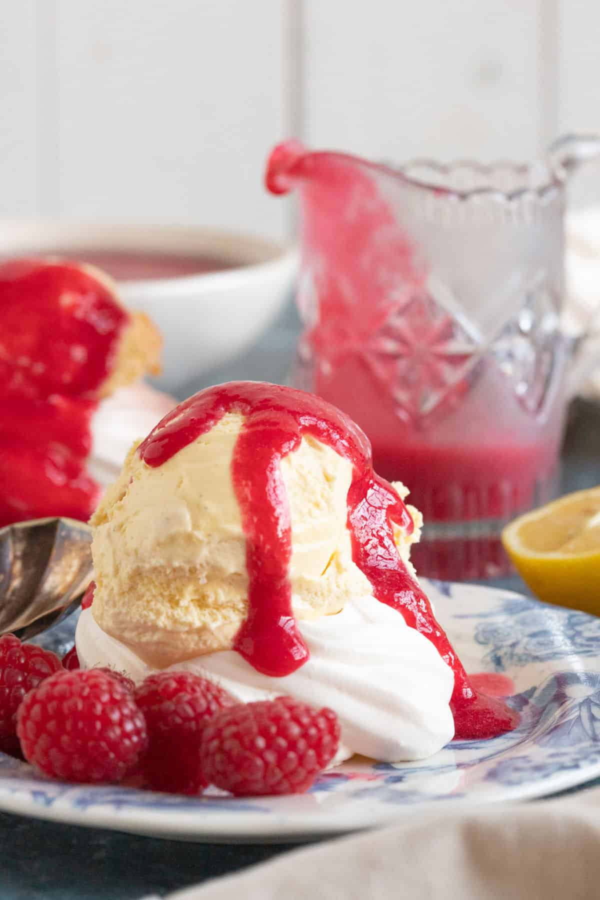 Raspberry coulis drizzled over ice cream and meringue nests.