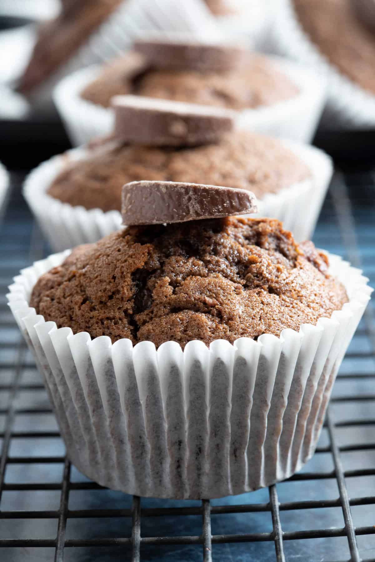 A chocolate orange muffin in a white paper case.