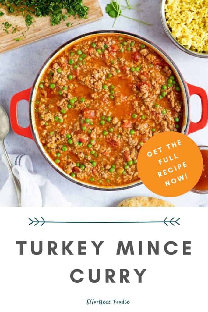 Turkey mince curry pin image.