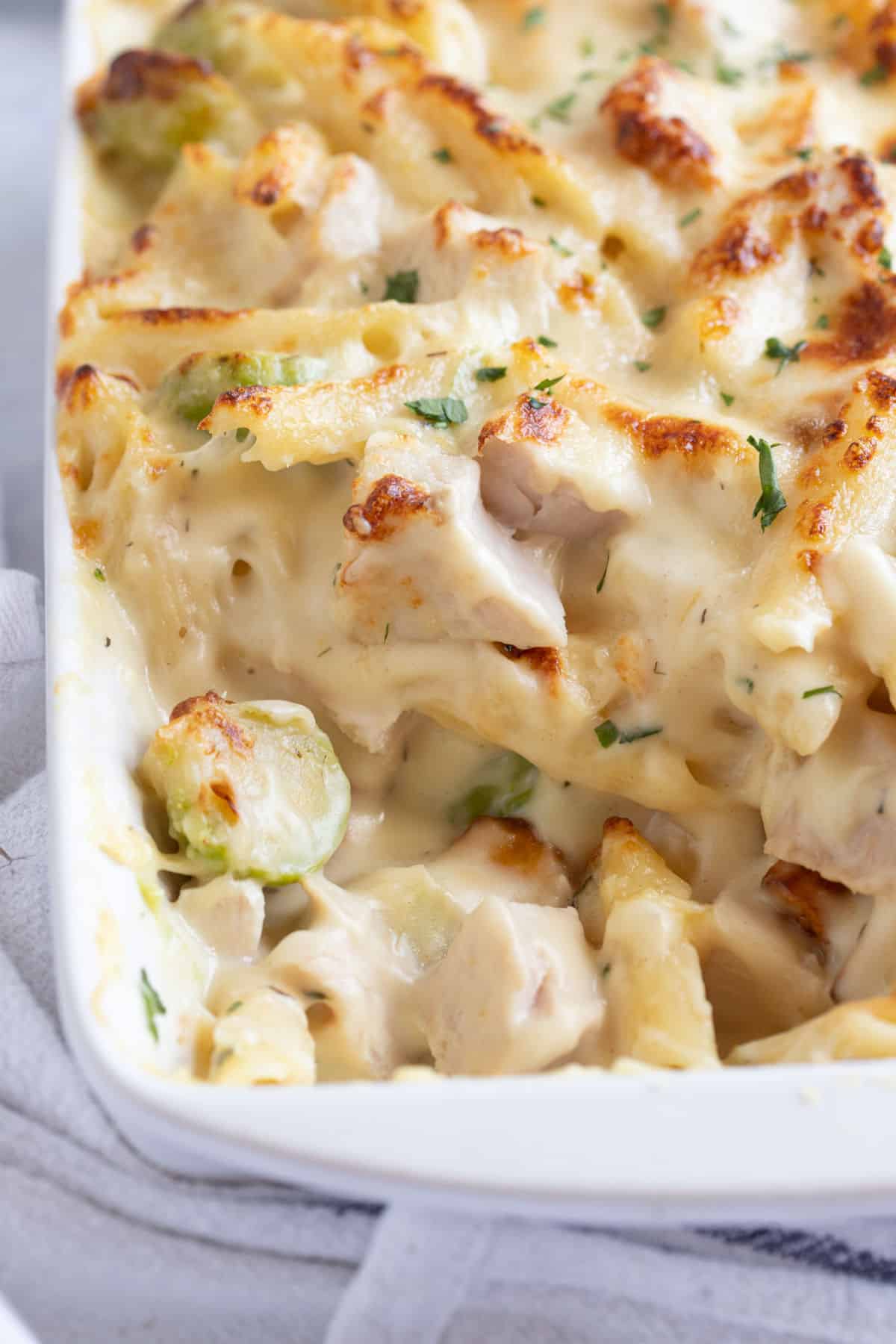 Cheesy pasta bake in a white baking dish.