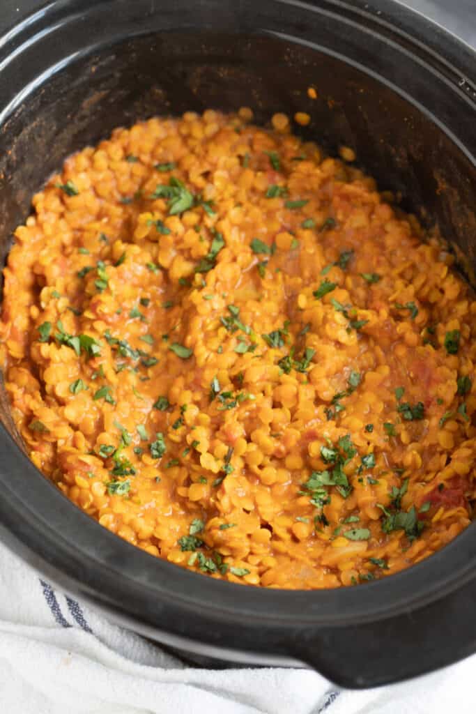 Easy Slow Cooker Red Lentil Dahl Recipe Effortless Foodie