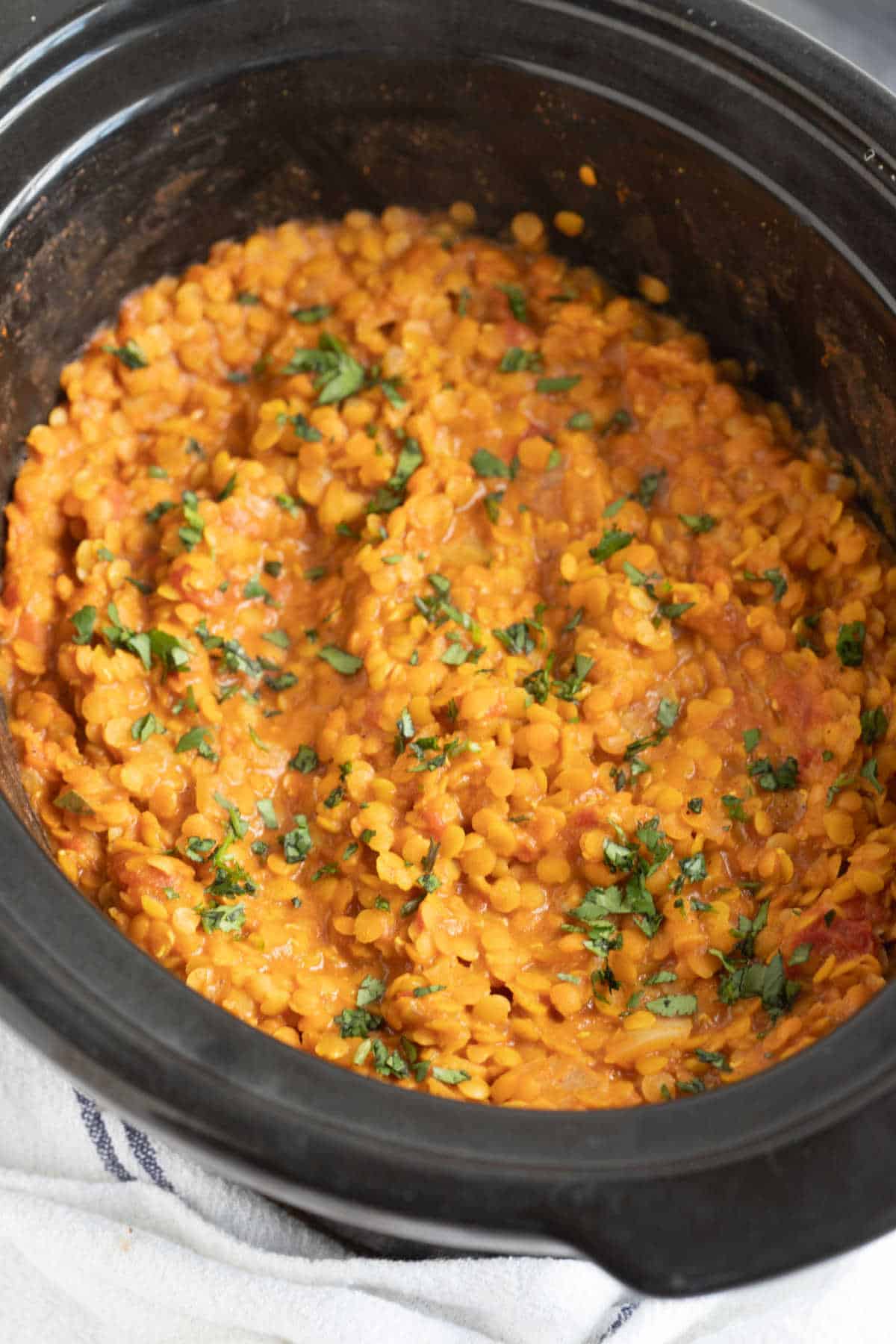 Slow cooker red lentil dahl in a crock pot.