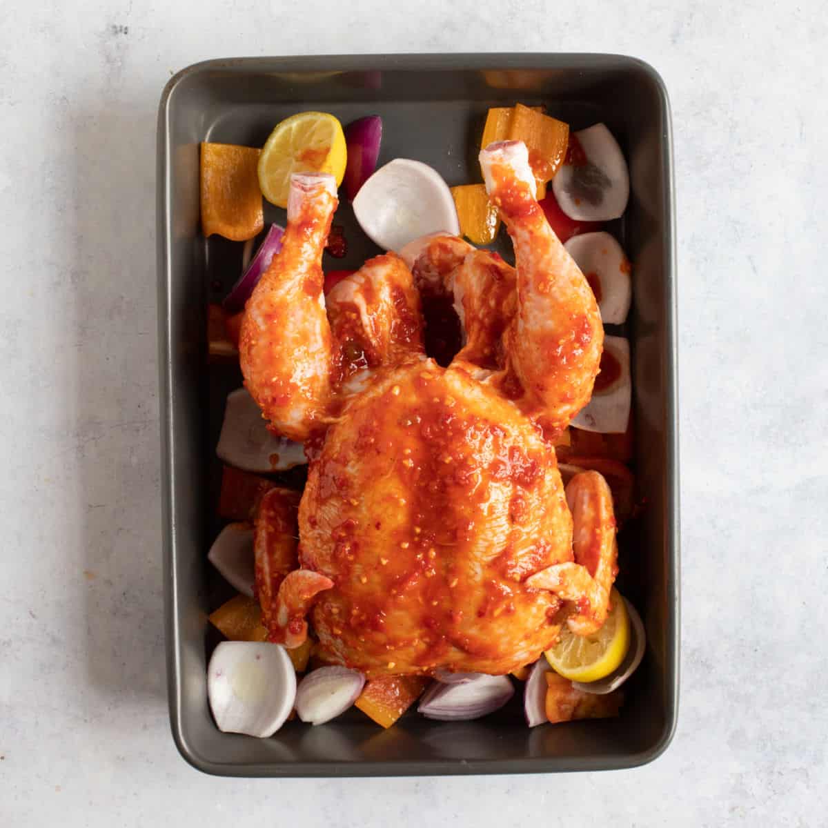 Whole chicken in roasting tin rubbed with harissa paste.