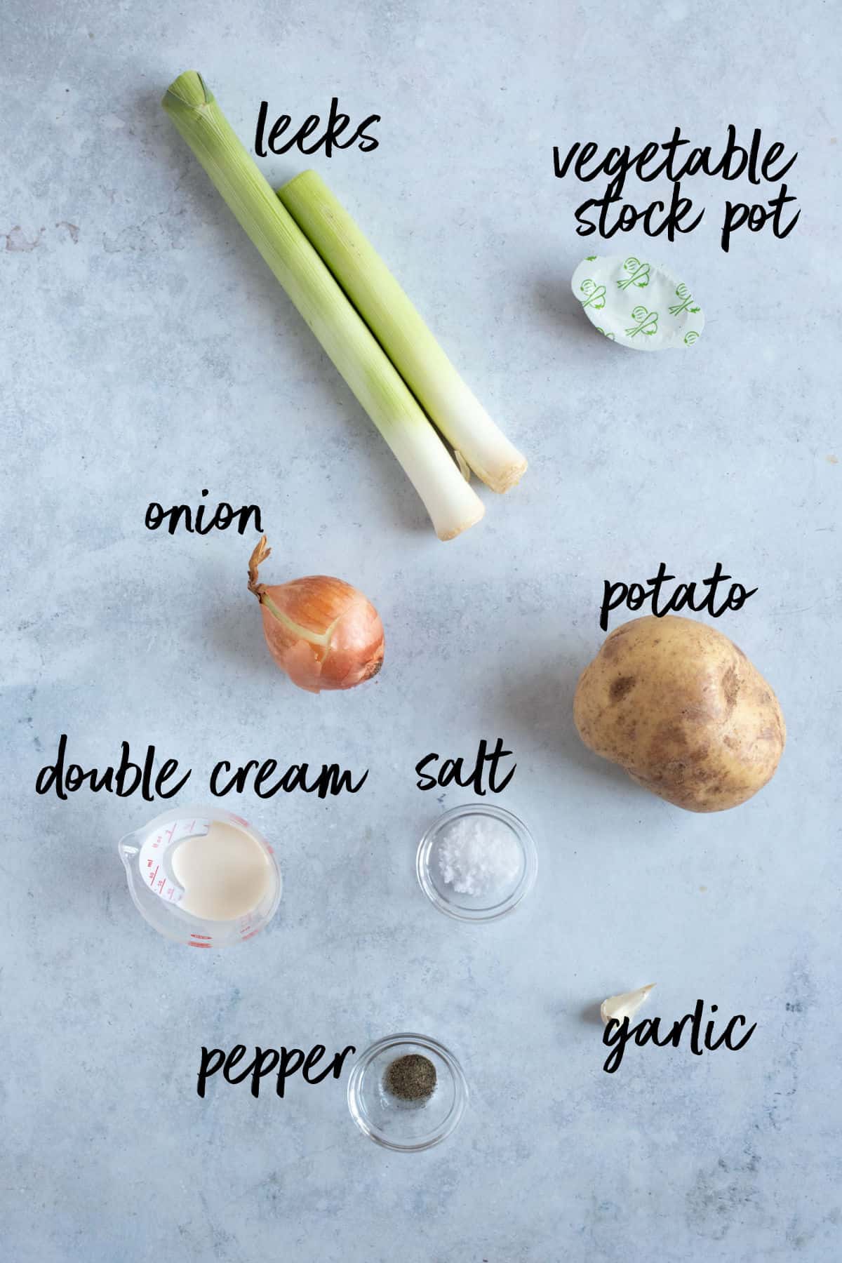Ingredients for soup maker leek and potato soup.