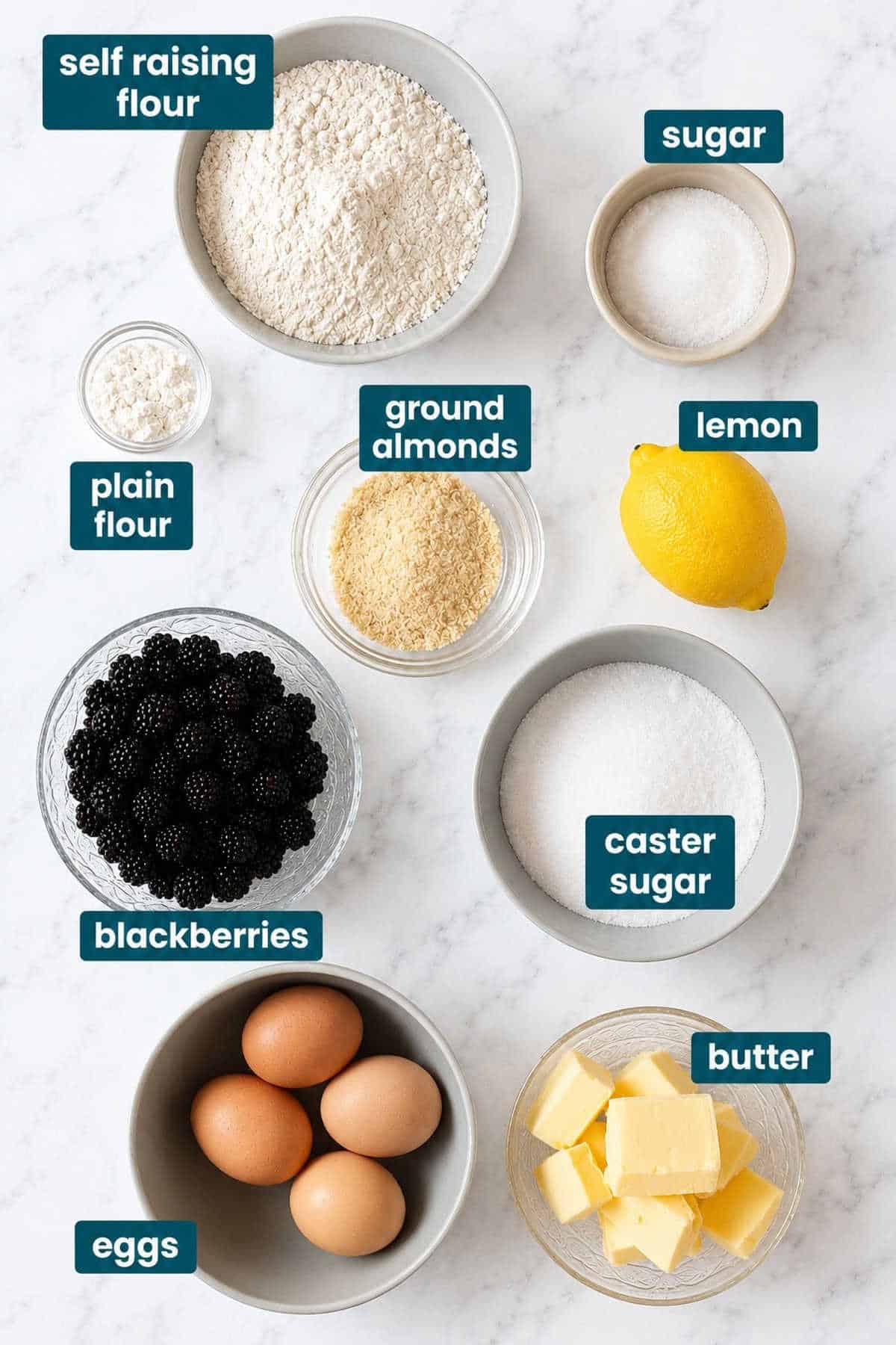 Ingredients for blackberry cake on white marble background.