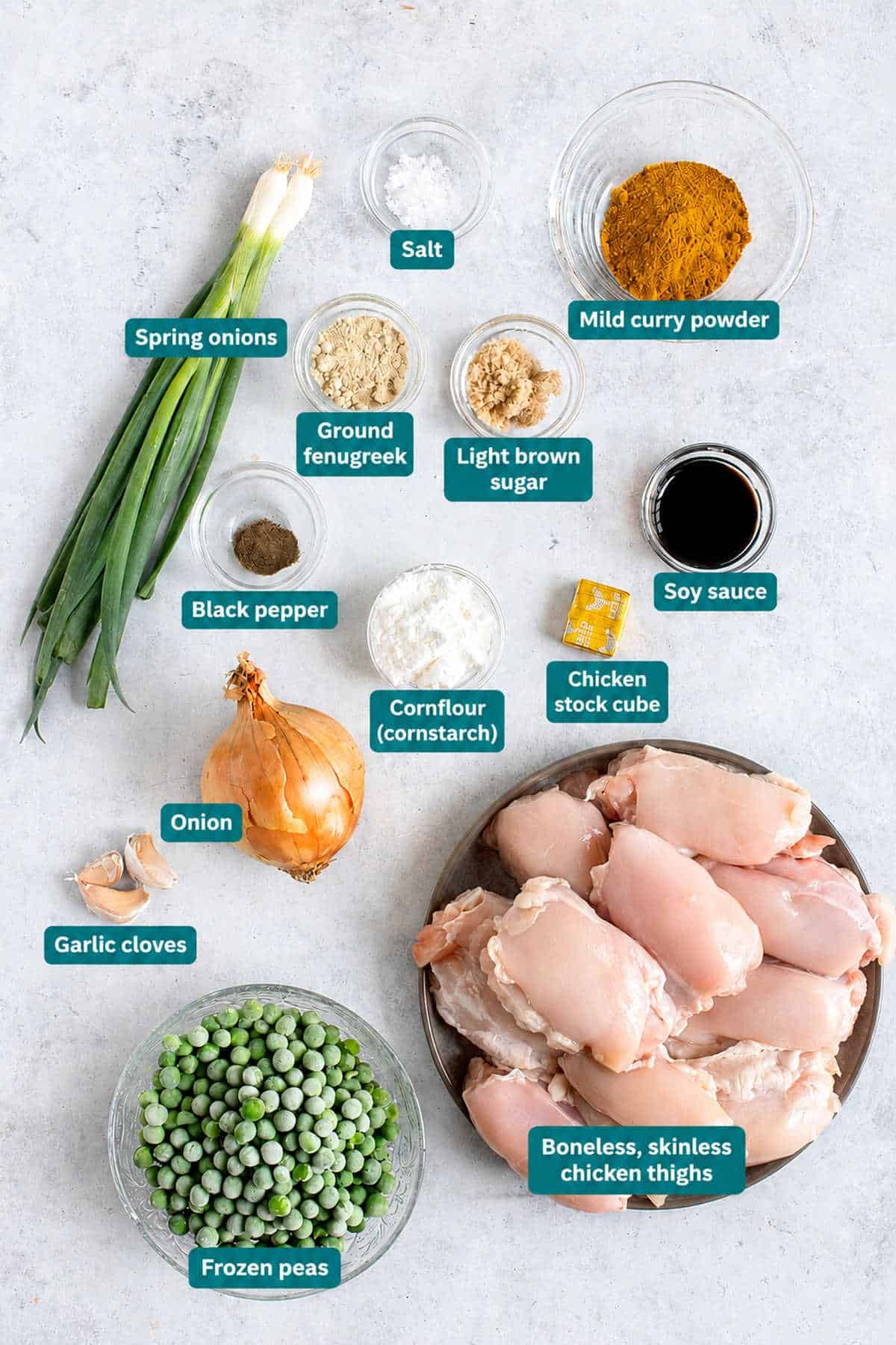 Ingredients for slow cooker chinese chicken curry.